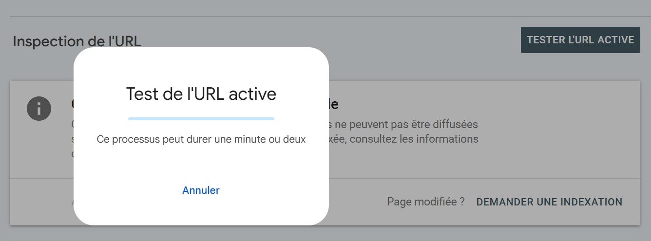 Test de l’URL active dans Google Search Console