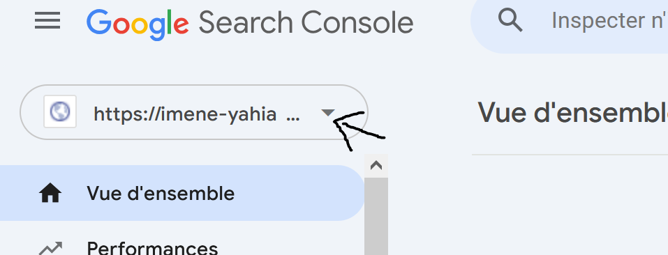 capture decrant sur googleSearch.png