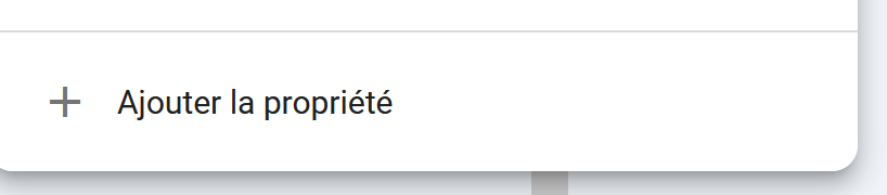 capture decrant sur googleSearch 1