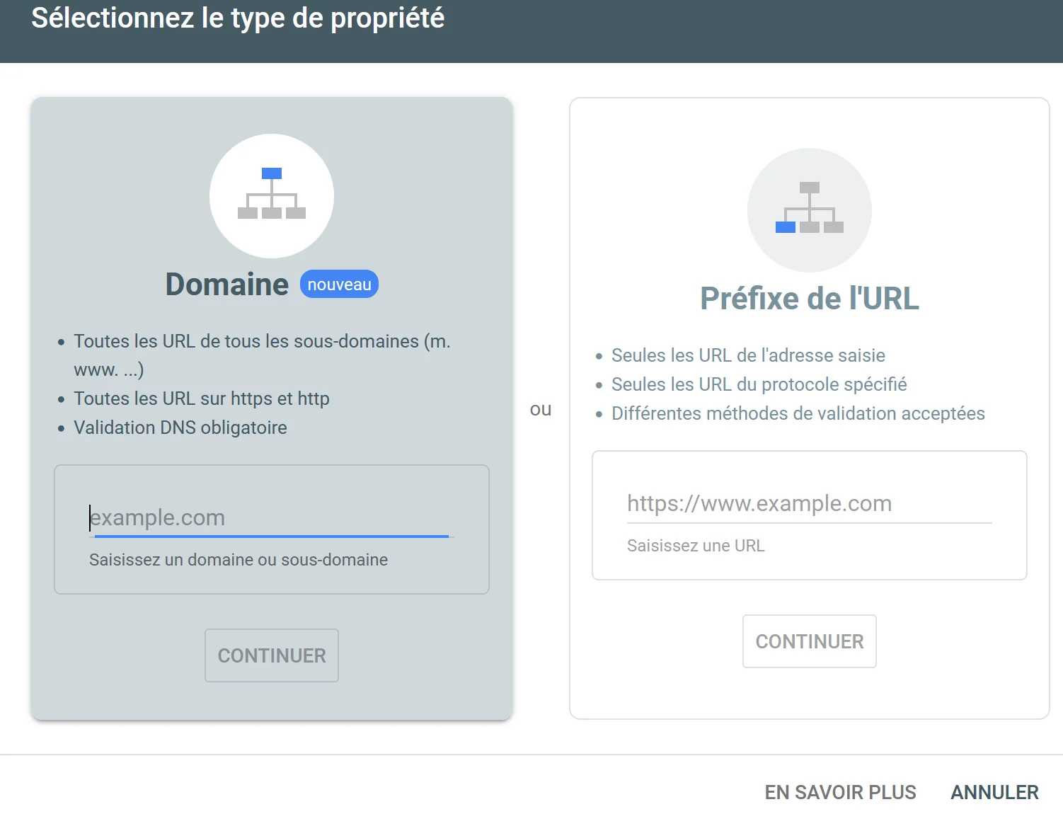 capture decrant sur googleSearch 2